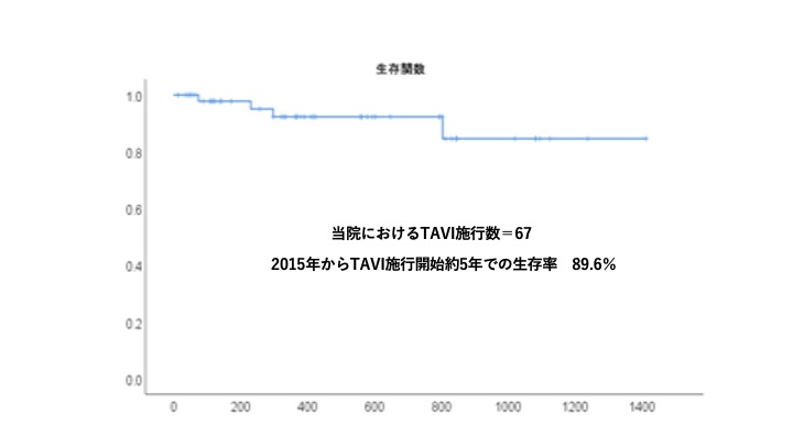 経カテーテル的大動脈弁置換術（TAVI）